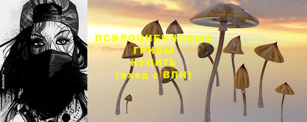 хмурый Алексин
