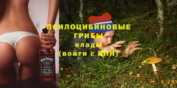 хмурый Алексин