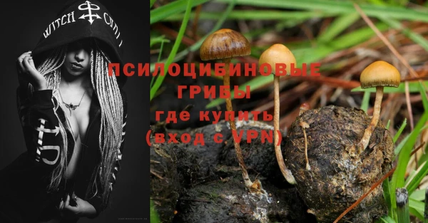 хмурый Алексин