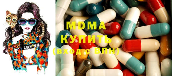 хмурый Алексин