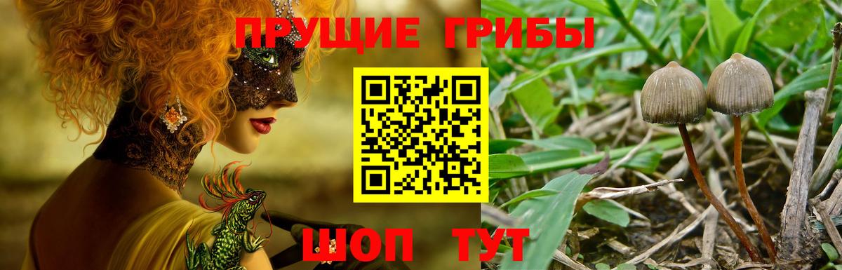 Галлюциногенные грибы GOLDEN TEACHER Глазов